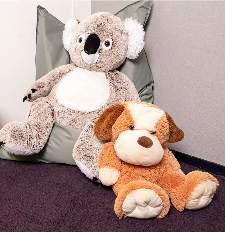 begeleiding hoogbegaafd kind in een praktijk