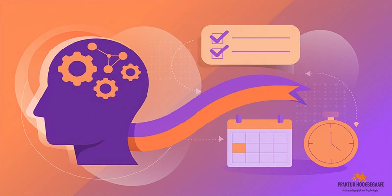 Executief functioneren, wat is dat?