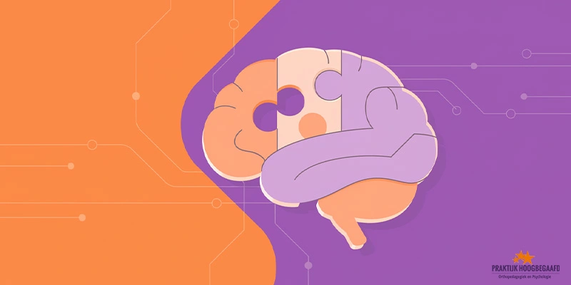 Misdiagnose: Hoogbegaafdheid en ADD