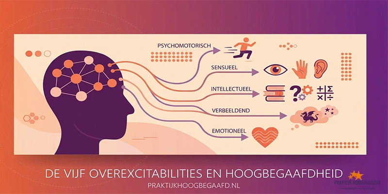 De vijf overexcitabilities in relatie tot de intelligetie bij hoogbegaafde kinderen
