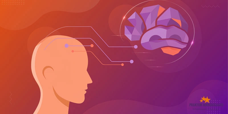 Hoogbegaafdheid en Autisme