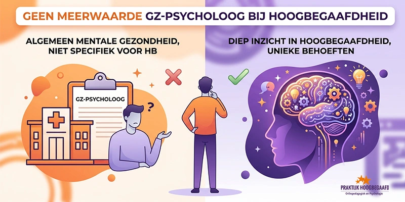 Meerwaarde GZ-psycholoog bij hoogbegaafdheid